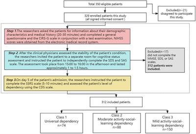 Care dependency in older stroke patients with comorbidities: a latent profile analysis